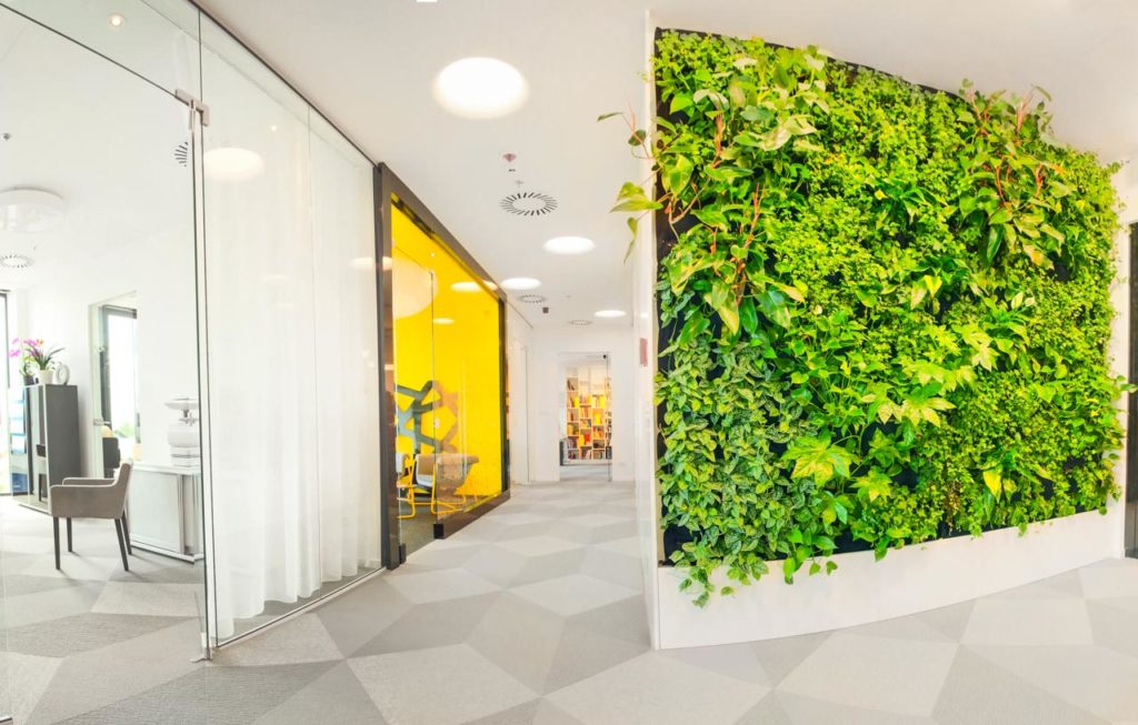 Biuro ARS Retail zielona ściana ogród wertykalny