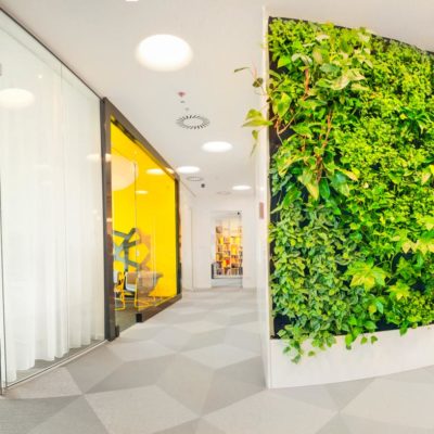 Biuro-ARS-Retail-zielona-ściana-ogród-wertykalny.jpg
