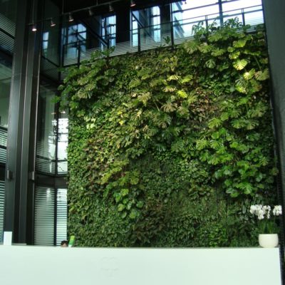 Zielona-ściana-w-recepcji-biura-Eurocentrum-4.jpg