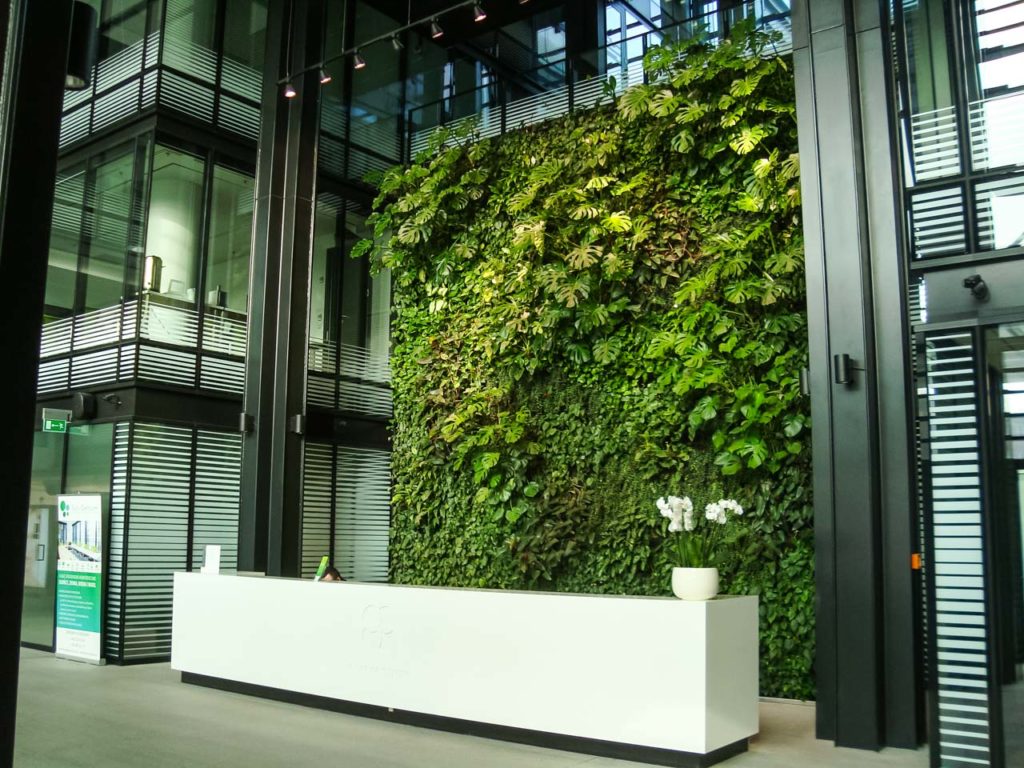 Zielona ściana w recepcji biura Eurocentrum
