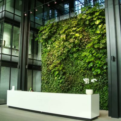 Zielona-ściana-w-recepcji-biura-Eurocentrum-6.jpg