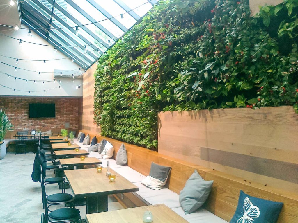 Zielona ściana w restauracji Plac Nowy 1