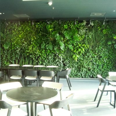 Zielona-ściana-w-restauracji-biurowca-Eurocentrum-3.jpg