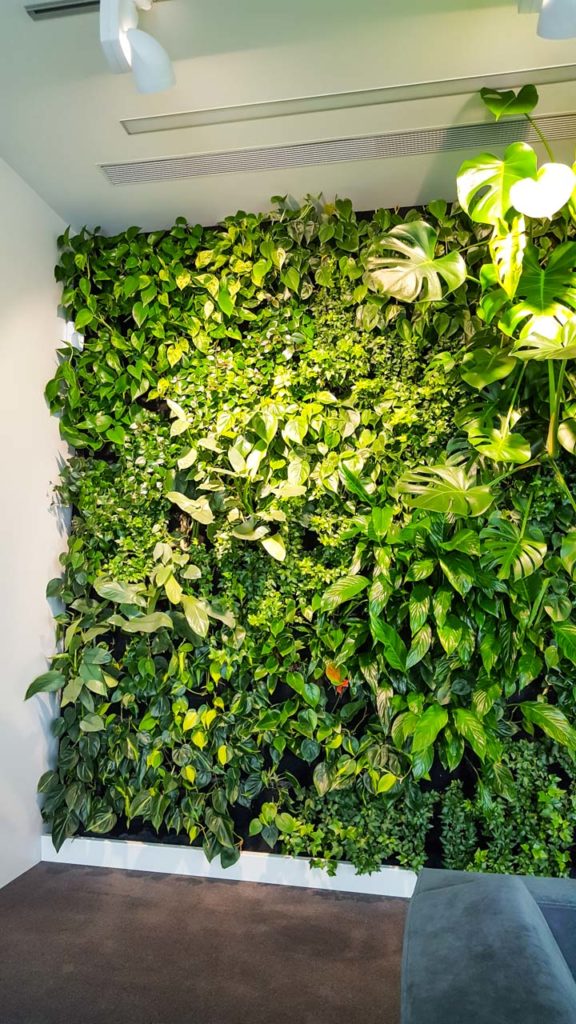 Żywa zielona ściana w biurowcu Polkomtel