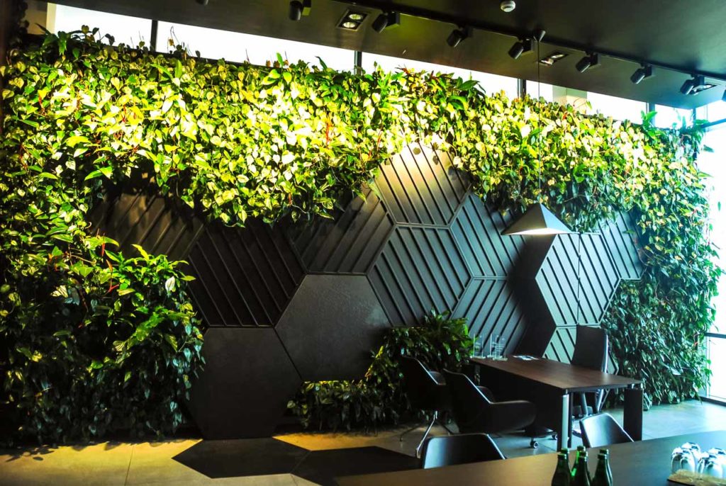Żywa zielona ściana (ogród wertykalny) w salonie BMW w Bydgoszczy