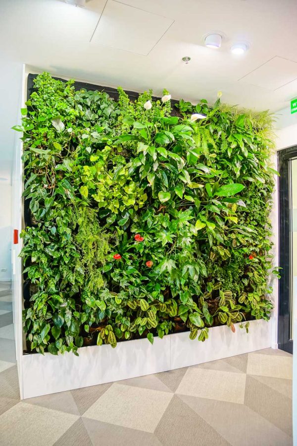 Biuro ARS Retail zielona ściana ogród wertykalny