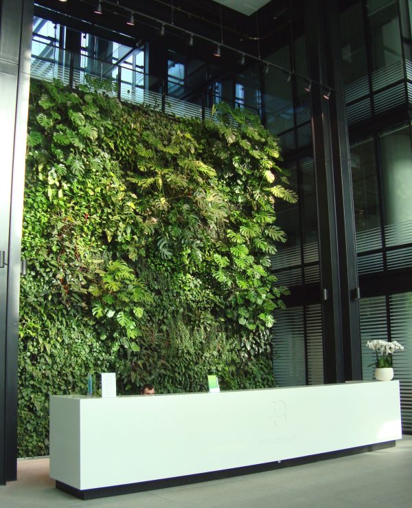 Eurocentrum recepcja zielona ściana ogród wertykalny